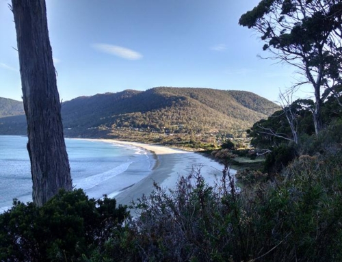 Tasmania – Wonder Begins