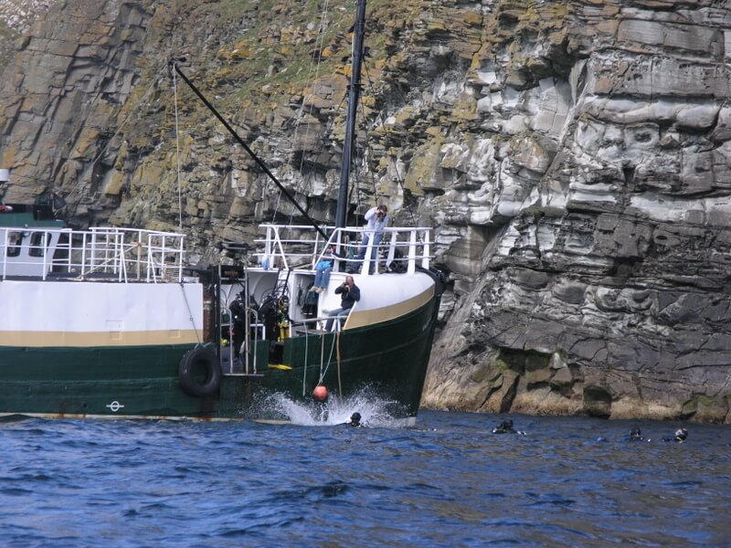 Snorkeling with Orcas in the Shetland Islands