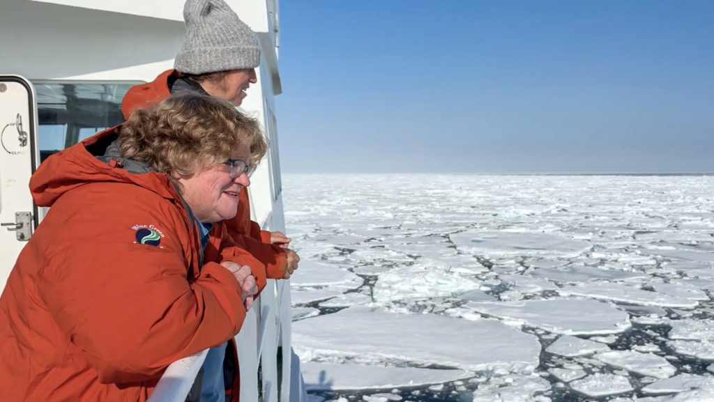 people looking at ice covered ocean